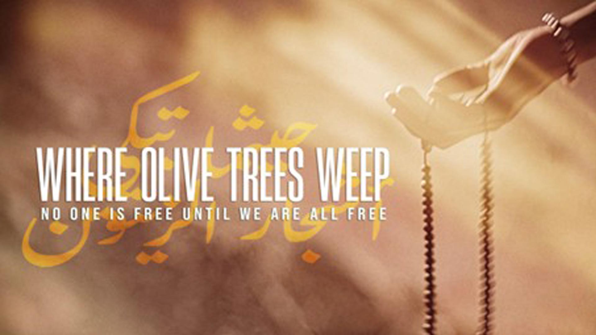 whereolivetreesweep-splashweb